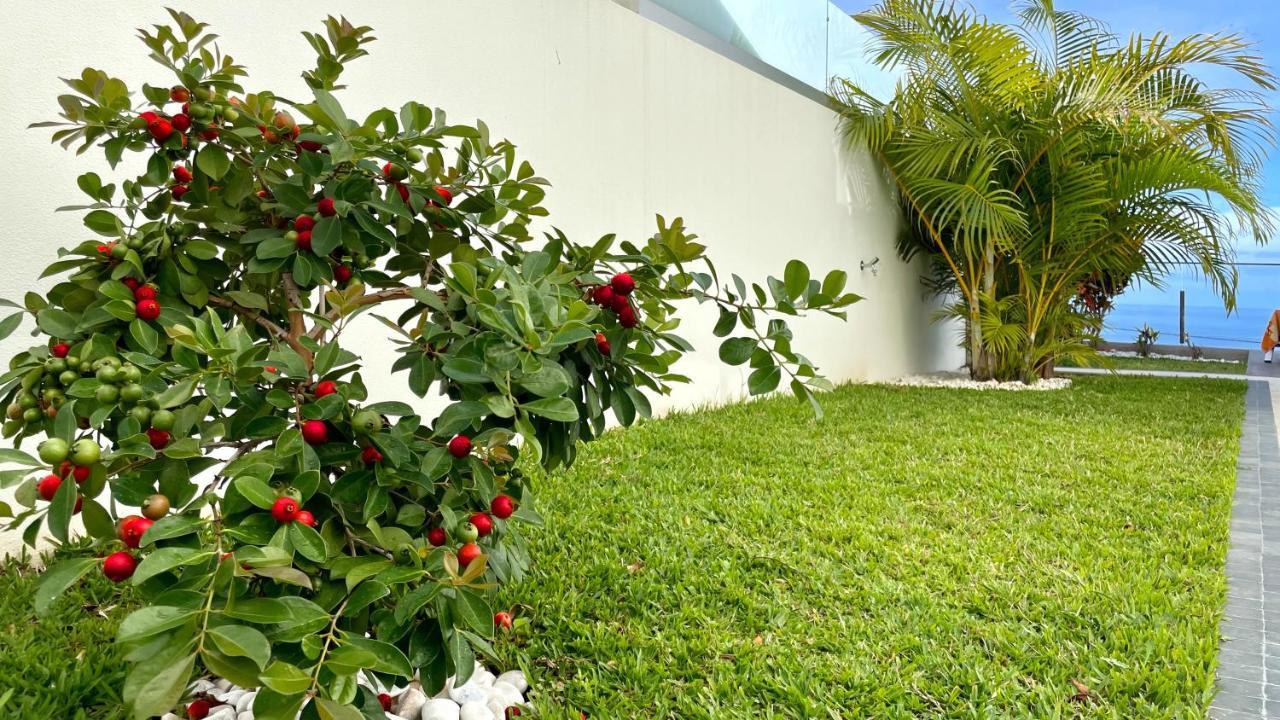 Holiday Apartment Sunset Ocean Ribeira Brava Ngoại thất bức ảnh
